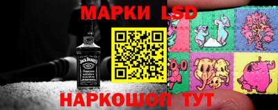 стафф Краснознаменск