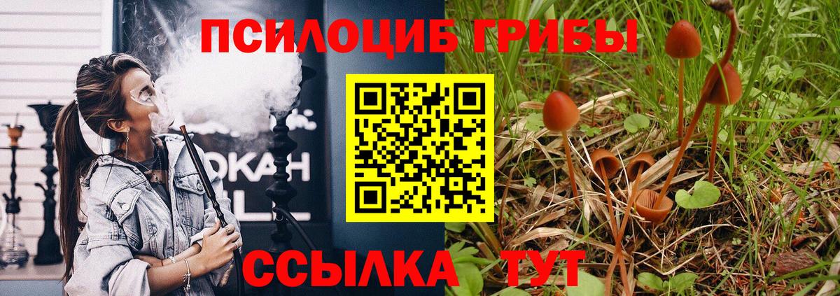 Кимры  купить наркотики сайты  Вход с VPN  Псилоцибиновые грибы Psilocybe 